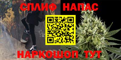 гашик Малгобек