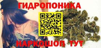 гидропоника Мариинск