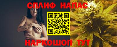 гашик Малгобек