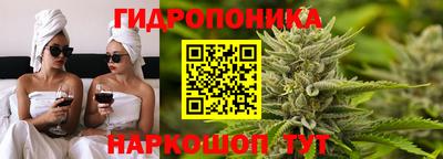 гашик Малгобек