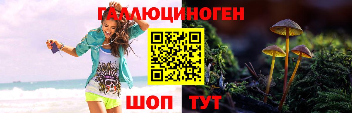 Галлюциногенные грибы MAGIC MUSHROOMS  Вход с VPN  Вязники  Галлюциногенные грибы Magic Shrooms 